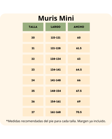 Botines respetuosos Muris Oslo Gris