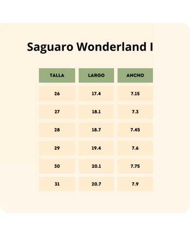 Botas Saguaro Wonderland I Rosa