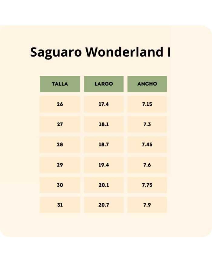 Botas Saguaro Wonderland I Azul