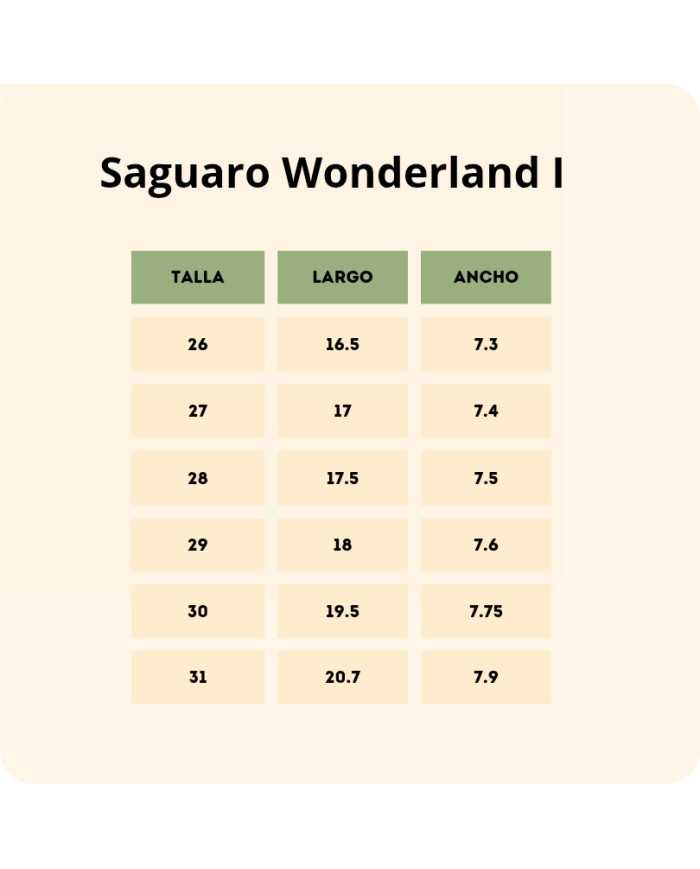 Bota Saguaro Wonderland I Rosa