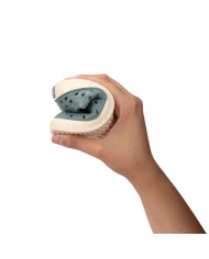 Sandálias de água barefoot Igor Malibú Verde