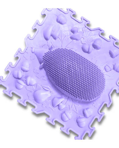 Alfombra sensorial Escuela en el bosque