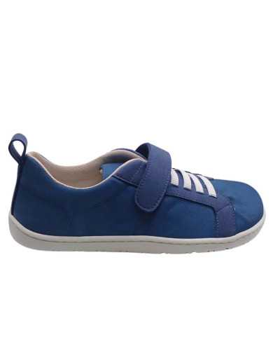 Deportivas de lona Coqueflex Azul adulto y niño